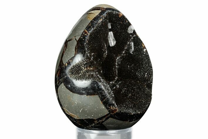 Septarian Dragon Egg Geode - Sparkly Black Crystals #336445